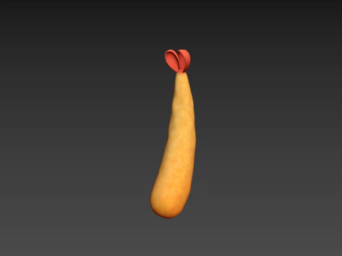Tempura 3D Model