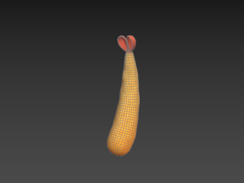Tempura 3D Model