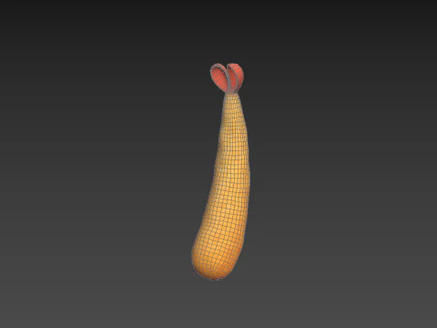Tempura 3D Model