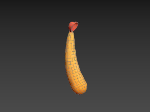 Tempura 3D Model