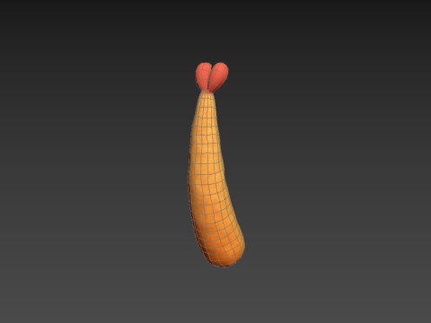 Tempura 3D Model