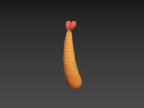 Tempura 3D Model