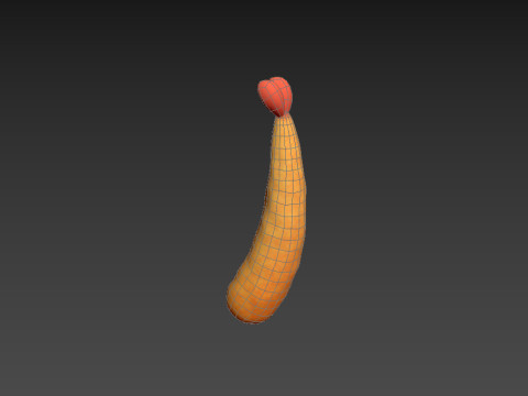 Tempura 3D Model