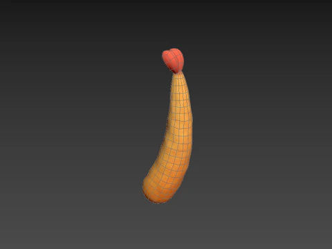 Tempura 3D Model
