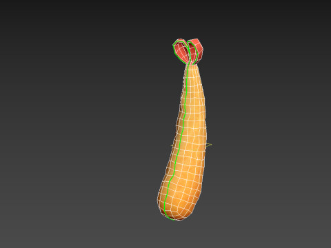 Tempura 3D Model