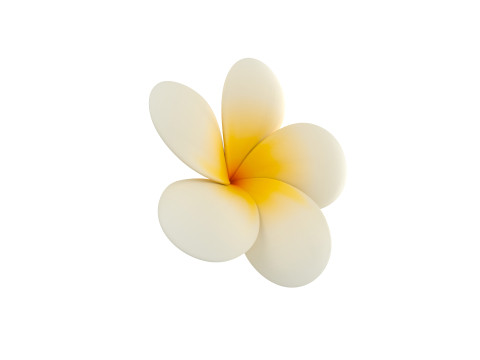 Plumeria Flower 3D Model