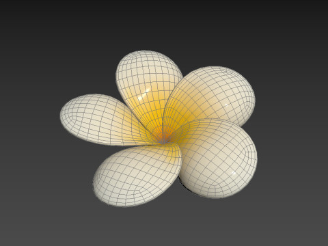 Plumeria Flower 3D Model