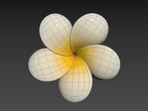 Plumeria Flower 3D Model