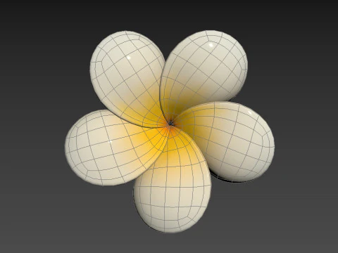 Plumeria Flower 3D Model