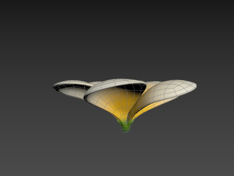 Plumeria Flower 3D Model