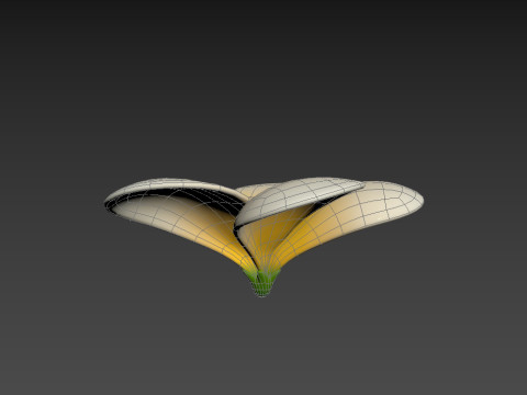 Plumeria Flower 3D Model