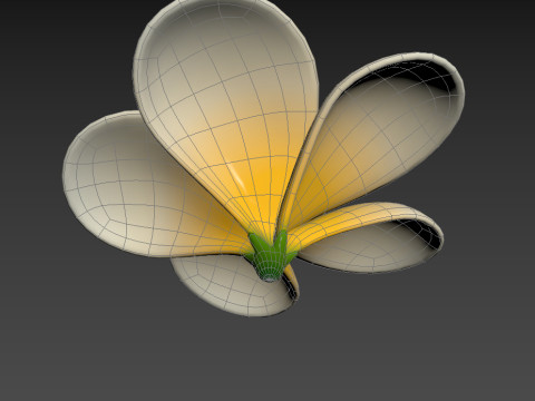 Plumeria Flower 3D Model