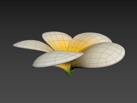 Plumeria Flower 3D Model