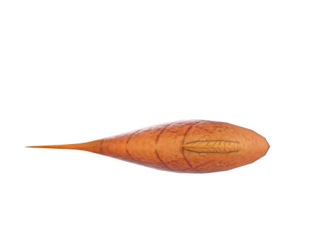 Grilled Fish 3D Model