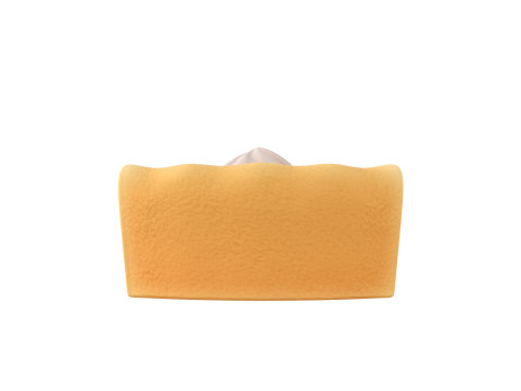 Pumpkin Pie 3D Модель