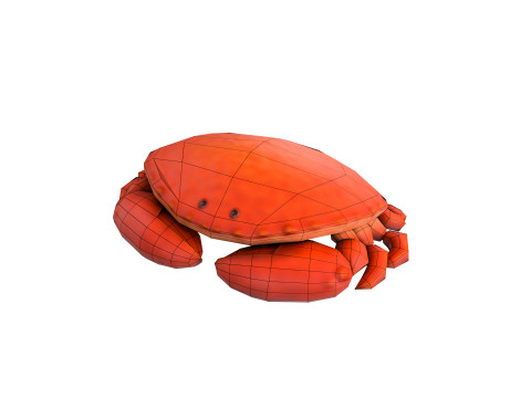 Steamed Crab 3D Модель