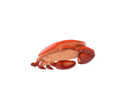 Steamed Crab 3D Модель