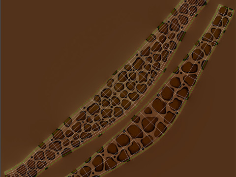 Leopard Headband 3D 模型
