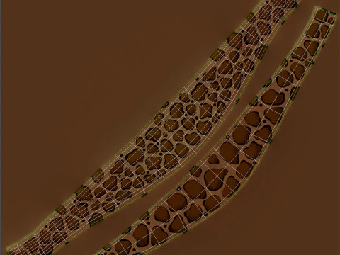 तेंदुआ हेडबैंड 3D मॉडल