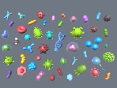 Biology Pack 3D Model