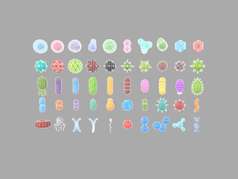 Biology Pack 3D Model