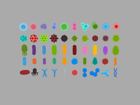 Biology Pack 3D Model