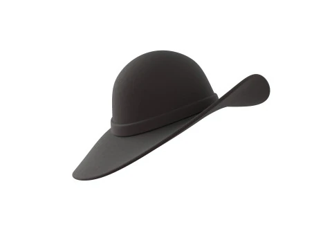 Black Flower Hat 3D Model