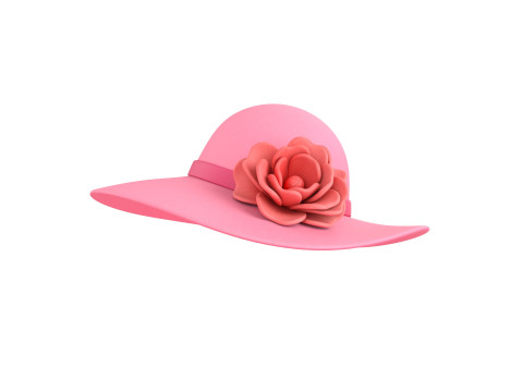 Pink Flower Hat 3D मॉडल