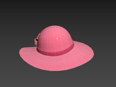 Pink Flower Hat Model 3D