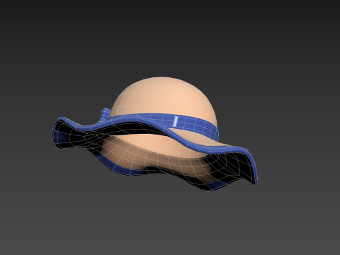 Ribbon Sun Hat 3D Модель