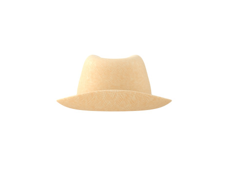 White Fedora Hat 3D Model
