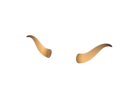 Corno di toro 2 Modello 3D