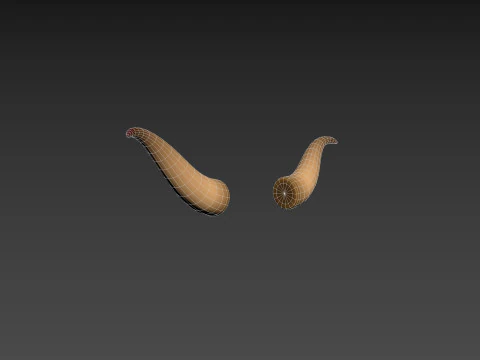 Corno di toro 2 Modello 3D