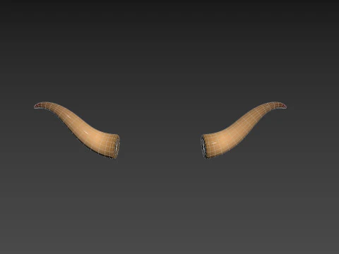 Corno di toro 2 Modello 3D