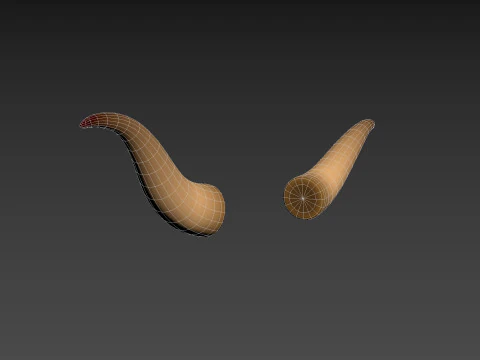 Corno di toro 2 Modello 3D