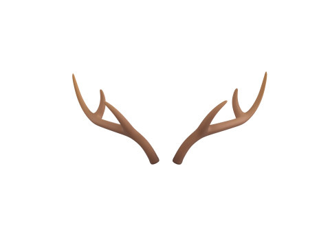 Deer Antler 3D 모델