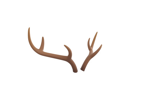 Deer Antler 3D 모델