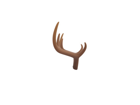 Deer Antler 3D 모델