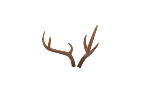 Deer Antler 3D 모델