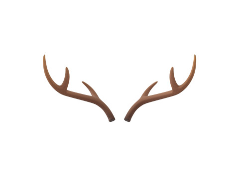 Deer Antler 3D 모델