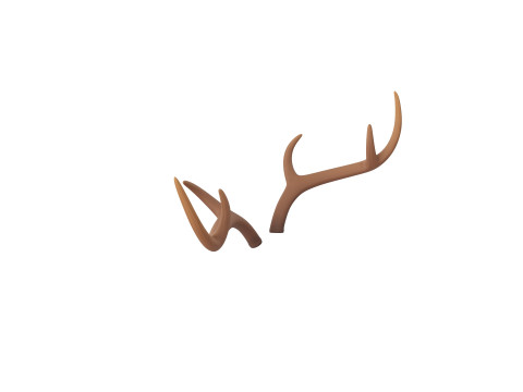 Deer Antler 3D 모델