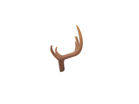 Deer Antler 3D 모델