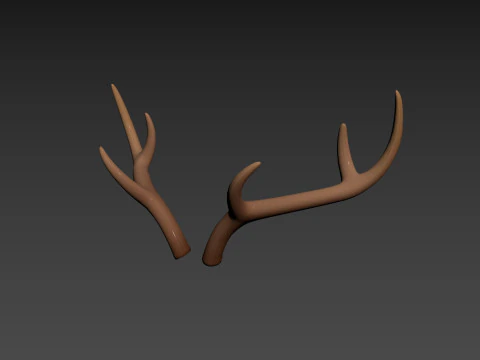 Corno di cervo Modello 3D