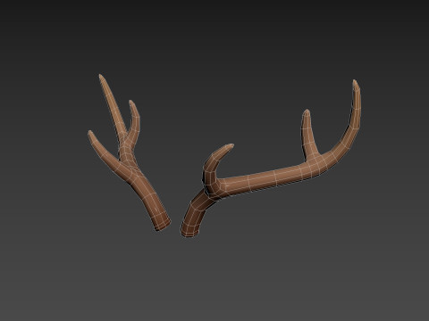 Deer Antler 3D 모델