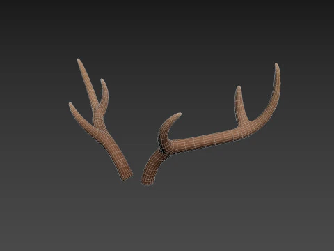 Corno di cervo Modello 3D