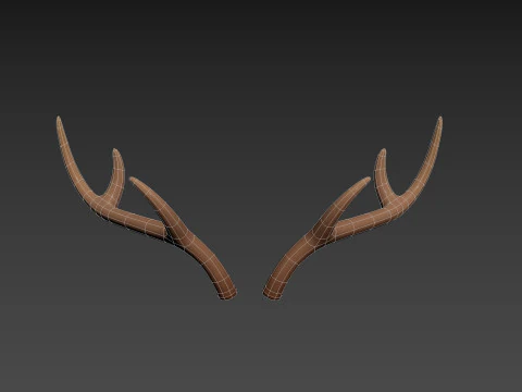 Corno di cervo Modello 3D