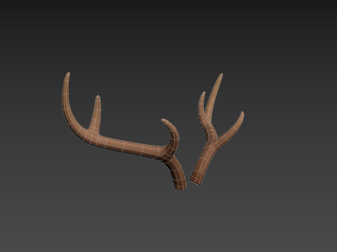 Deer Antler 3D 모델