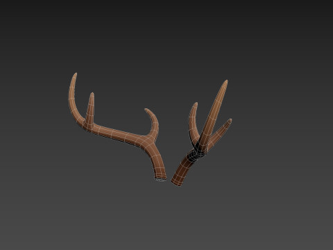 Deer Antler 3D 모델