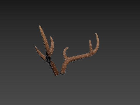 Deer Antler 3D 모델