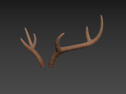 Deer Antler 3D 모델